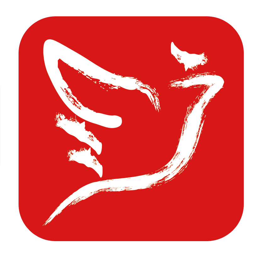 飞子科技LOGO
